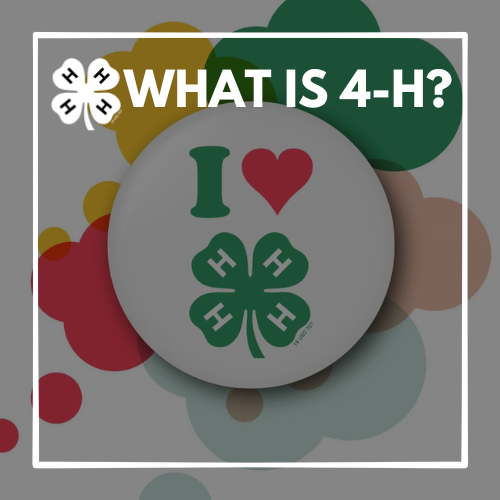4-H About
