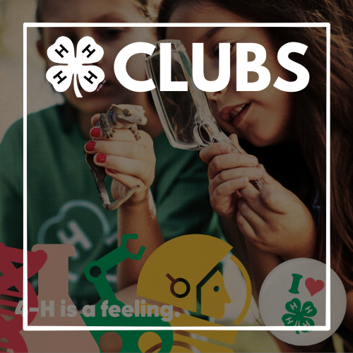4-H Club