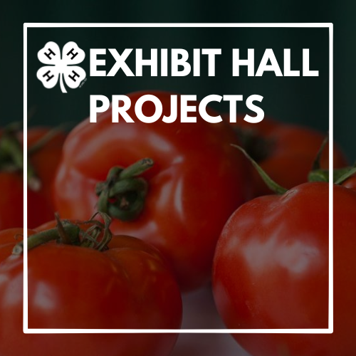 4-H Exhibit Hall