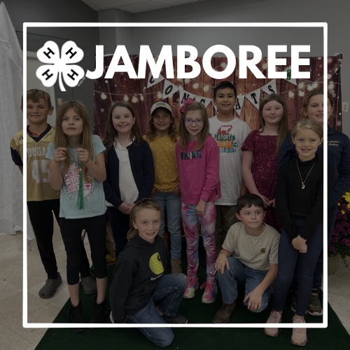 jamboree.jpg