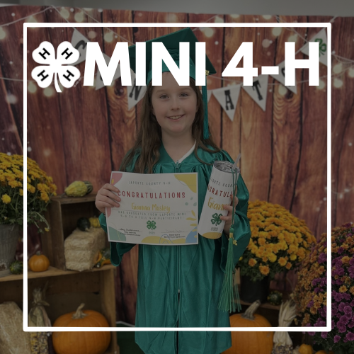 Mini Monday