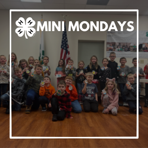 mini-mondays-corrected.png