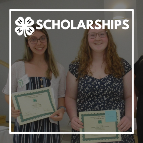 4-H Scholarships