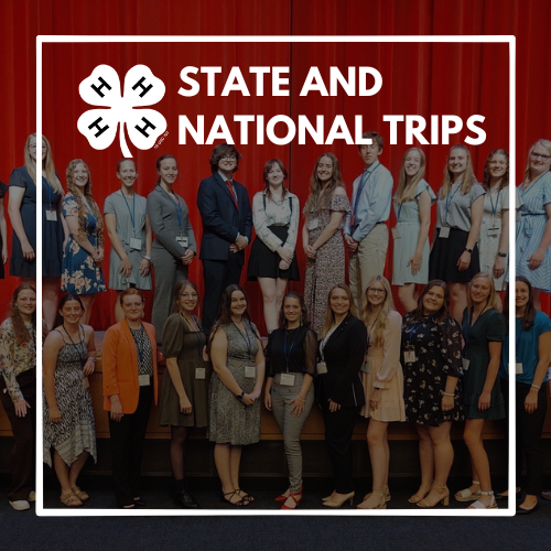 4-H Trips