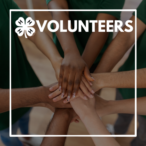 4-H Volunteers