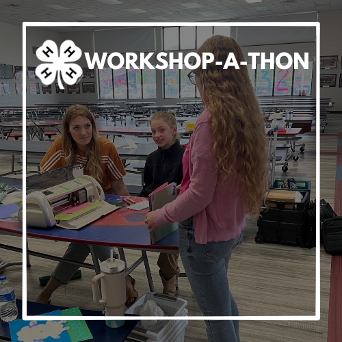 workshop-a-thon.jpg