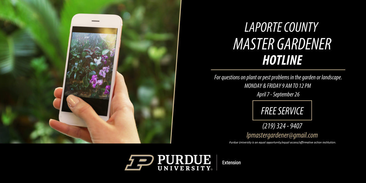 Master Gardener Hotline