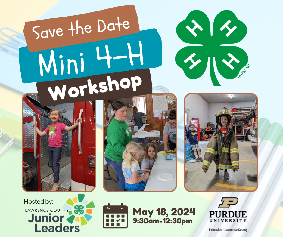 mini-4h-workshop-std-1.png