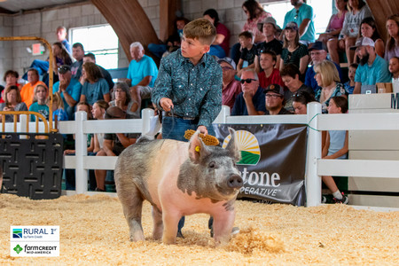 Grand Champions 4-H Club