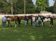 Regulators 4-H Club