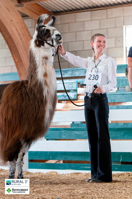 Moonlight Llamas 4-H Club
