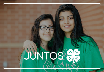 Juntos
