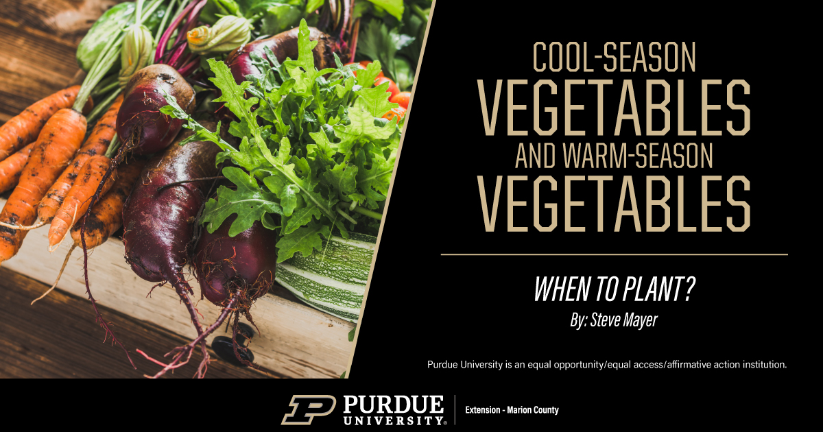 cool vegetables - warm vegetables, When to plant