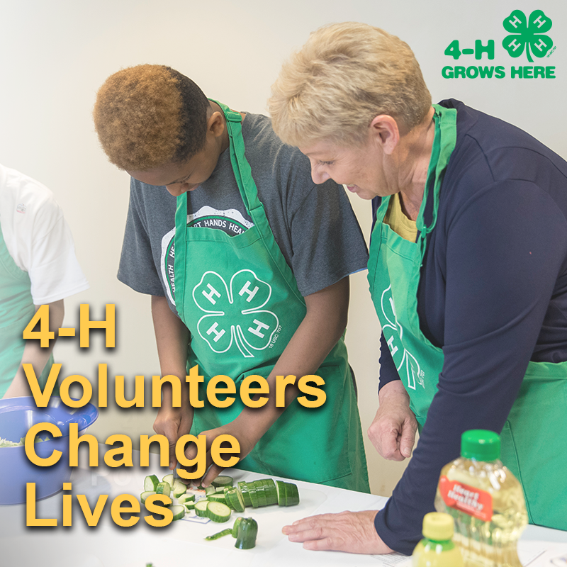 volunteer-b.png