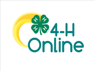 4-h online