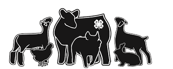Livestock logo