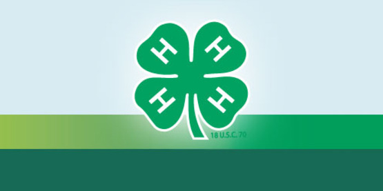 4-H Clover
