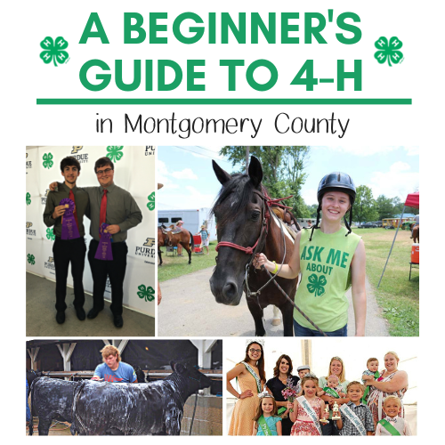 A Beginner's Guide to 4-H in Montgomery County