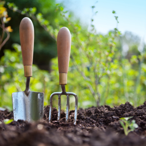 Soil Sample