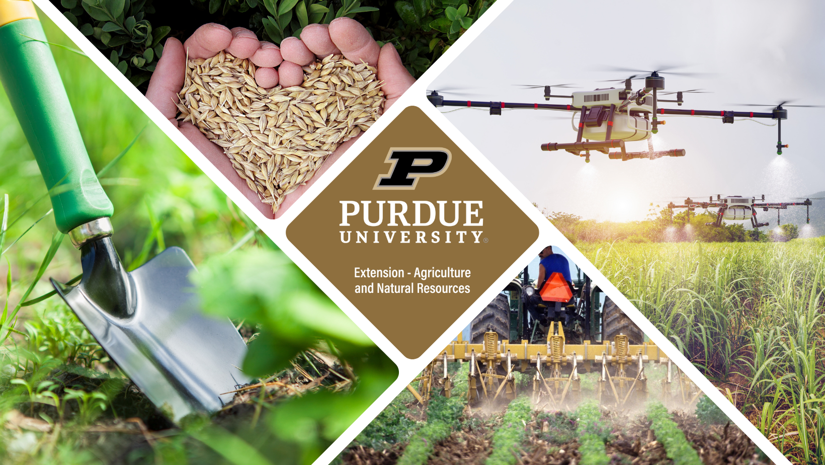 Annie's Project 2025