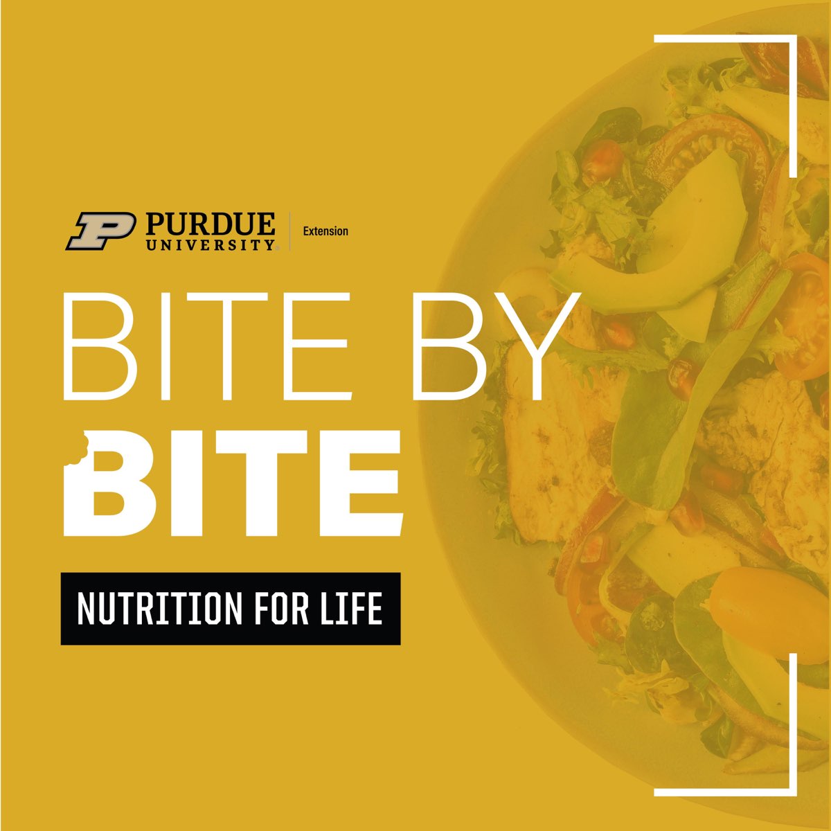 bite by bite podcast