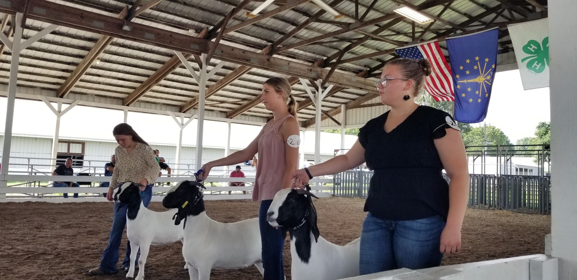 Goat Club Members Showing Their Goats