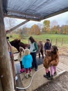 Green Team Members on a field trip to a cattle farm