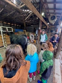 Green Team Members on a field trip to a cattle farm