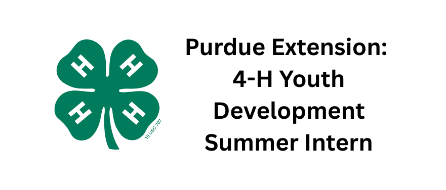 summer intern