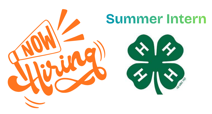Summer Intern