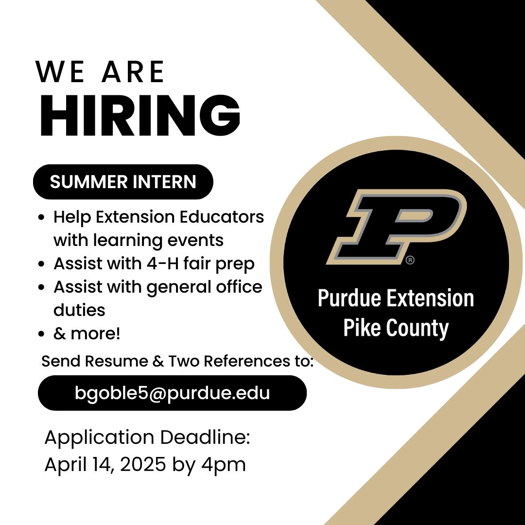 Summer Intern