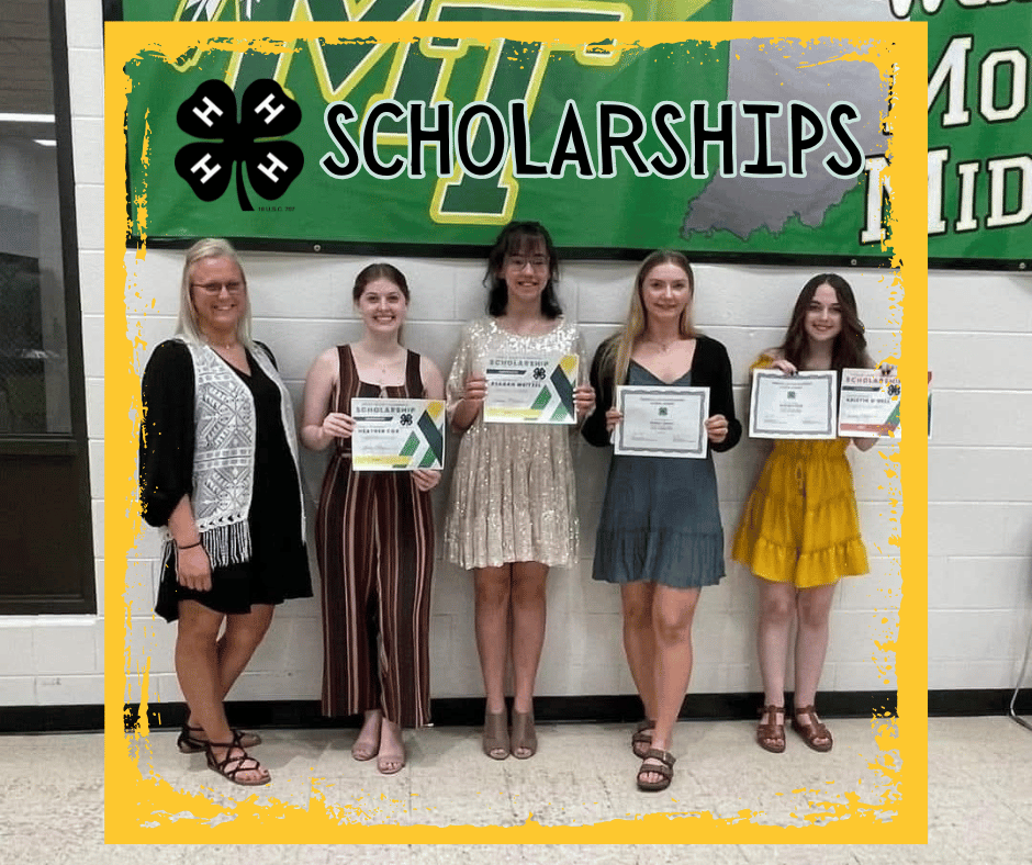 Scholarships