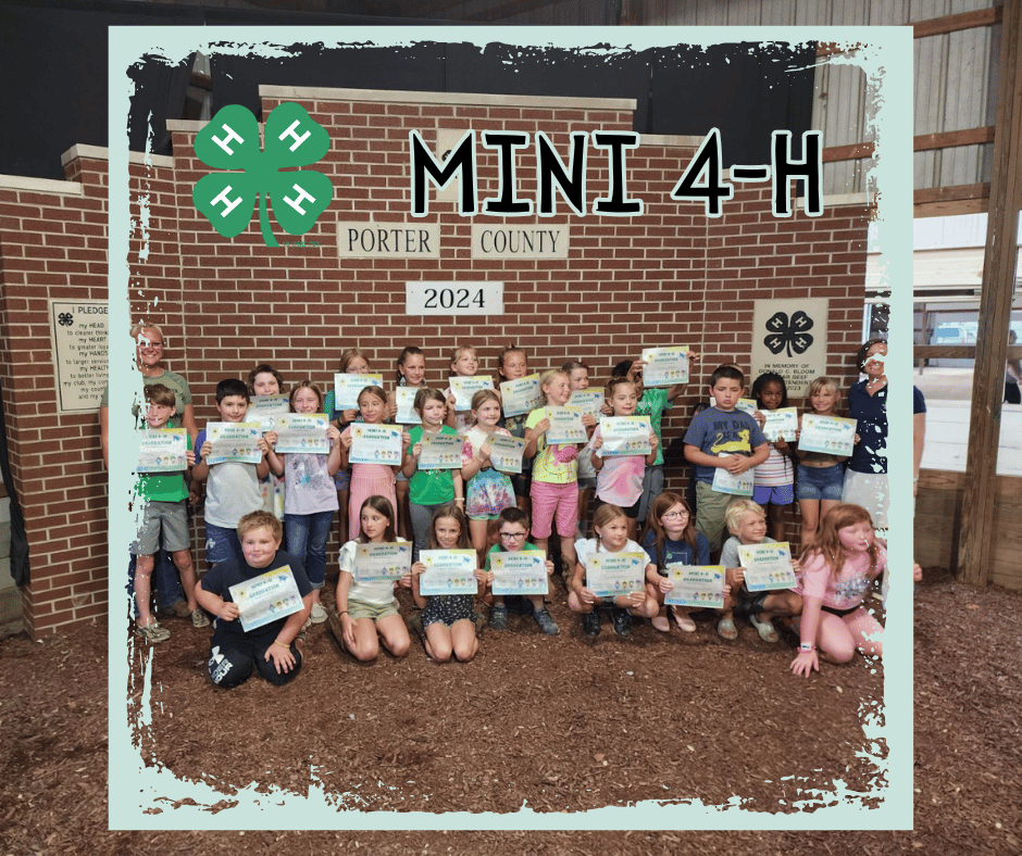 Mini 4-H