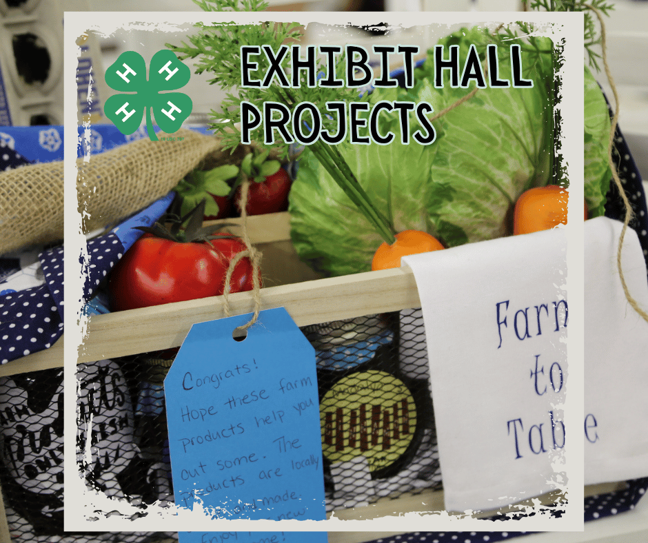 Exhibit Hall Projects