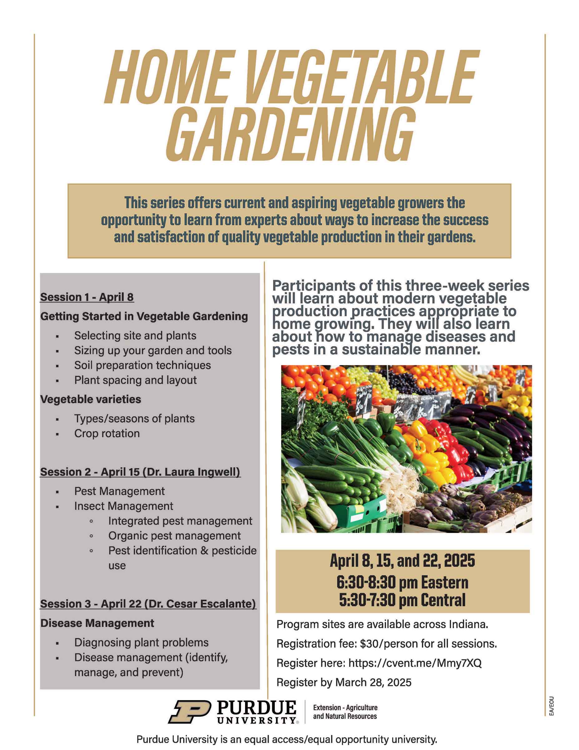Home Vegetable Gardening