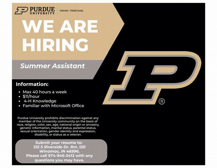 2025 Summer Assistant