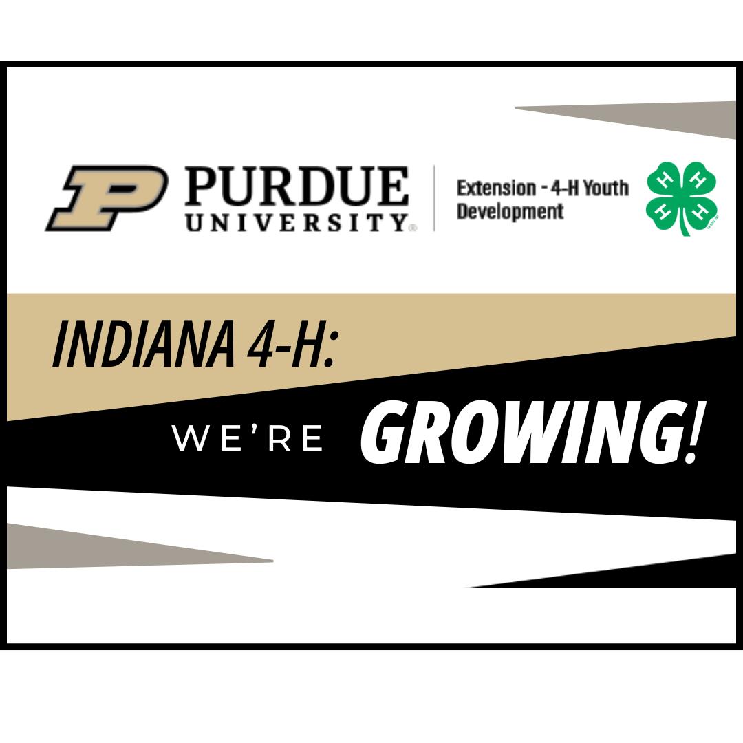 minimalist graphic with the Purdue colors and branding along with the title of the article