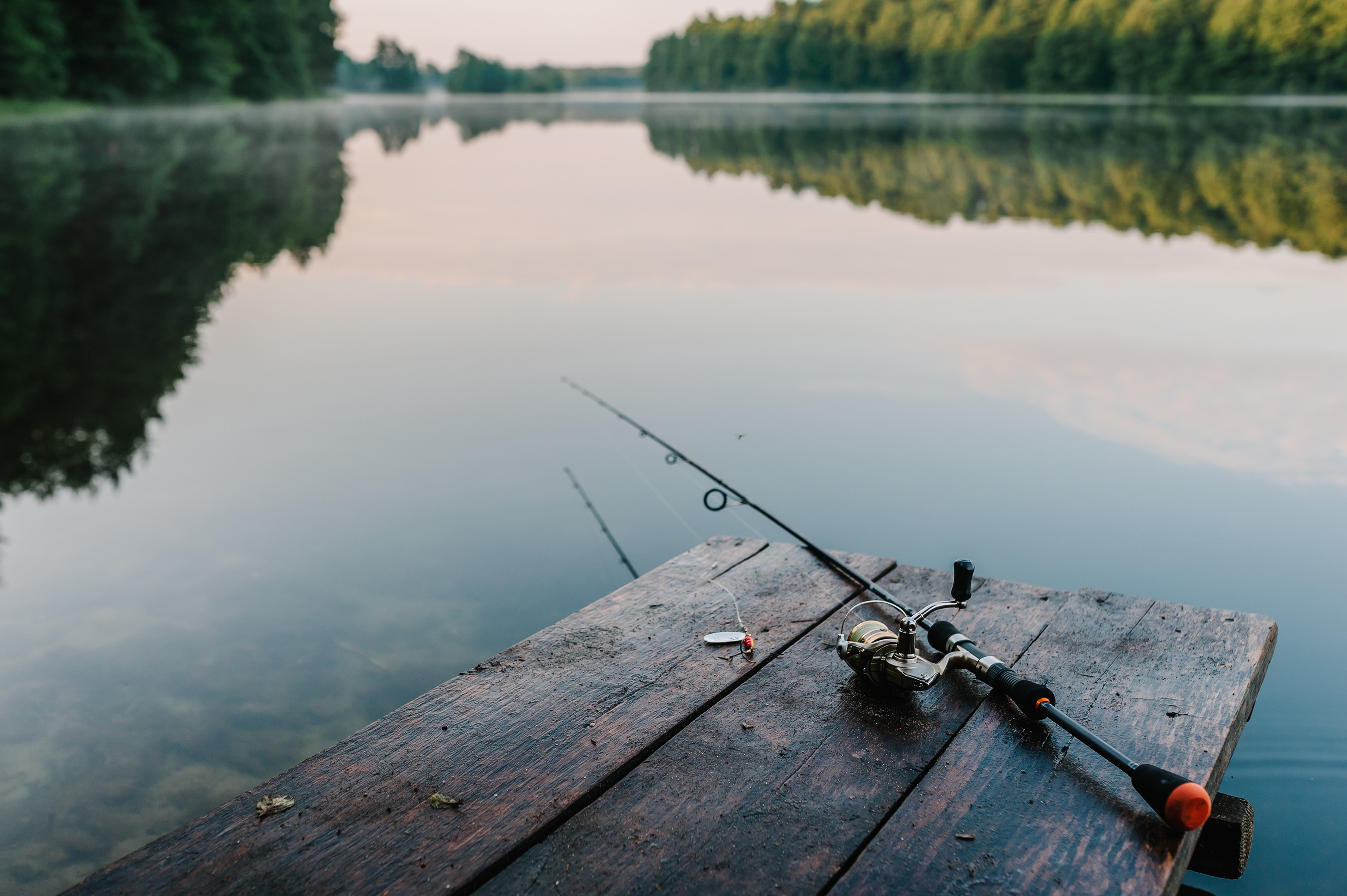 pond 