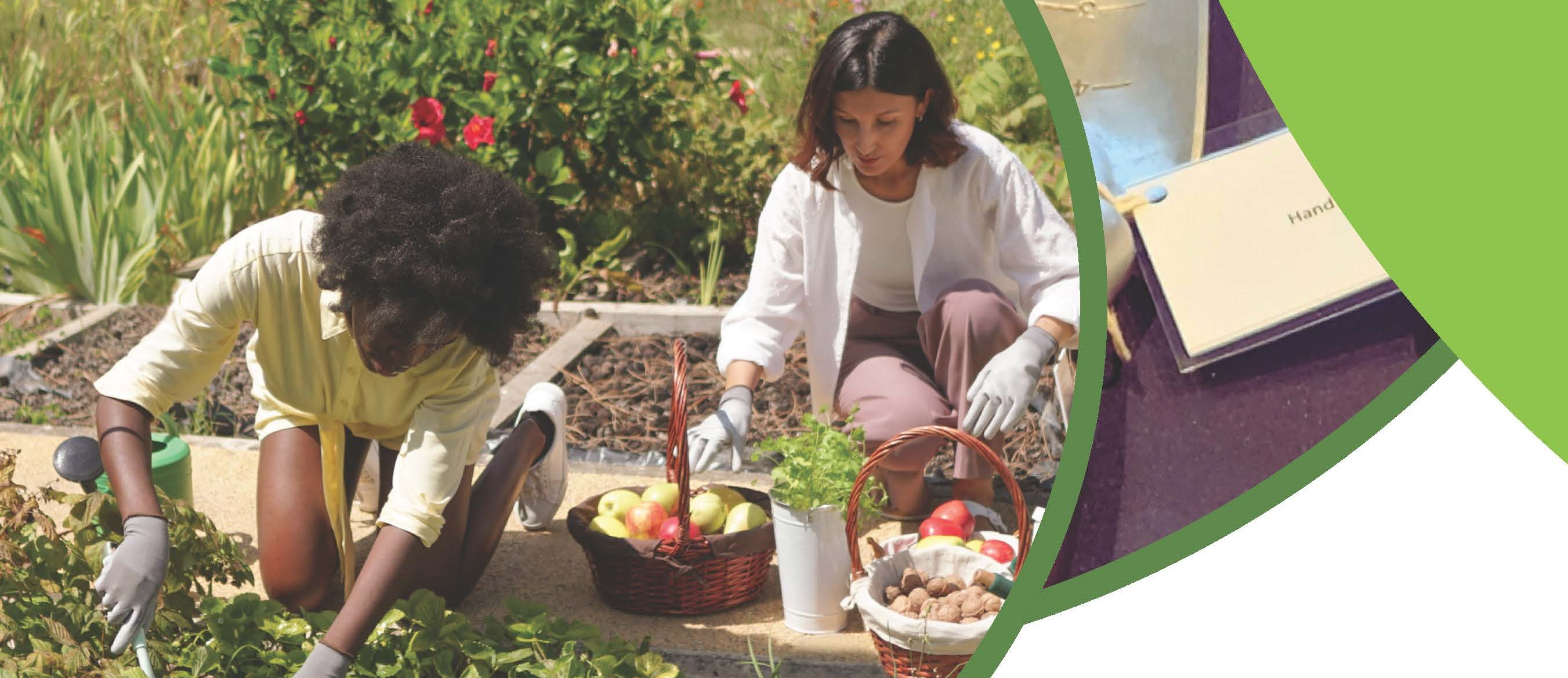 Two women harvesting produce and tending a garden