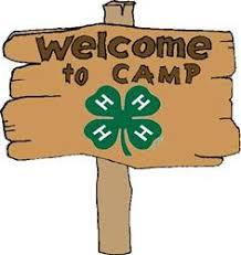 camp4-h.jpg