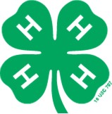 clover.jpg
