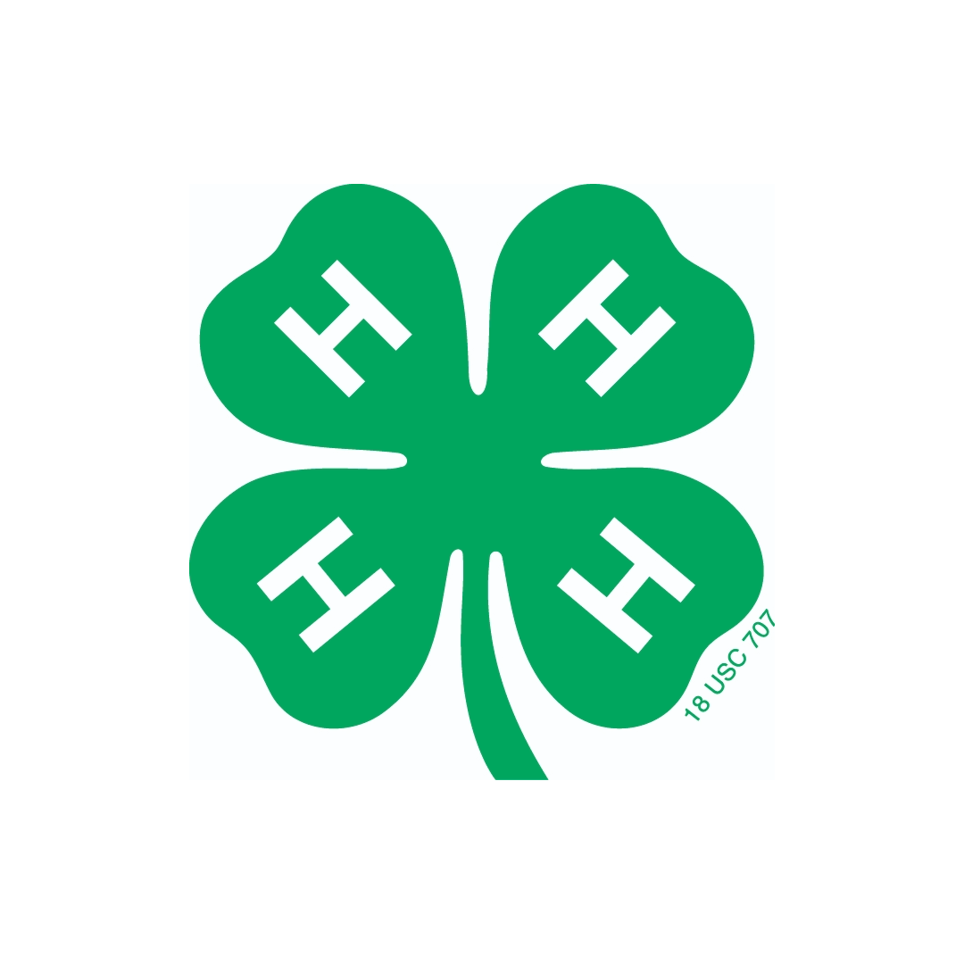 4-H Clover