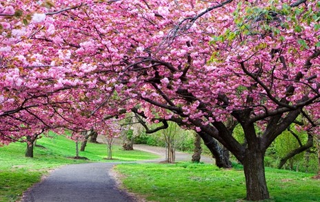 Spring