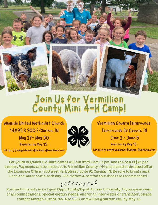 Mini 4-H Camp