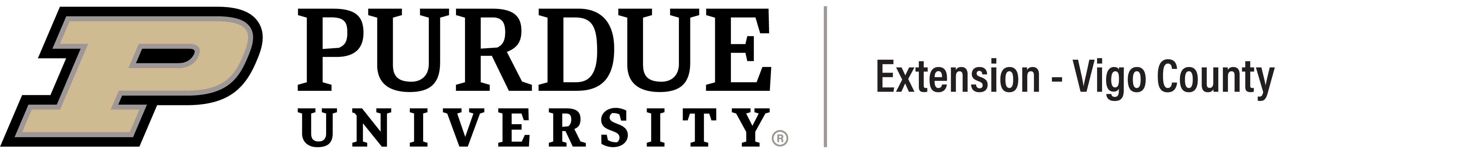 extvigo_h-full-rgb.png