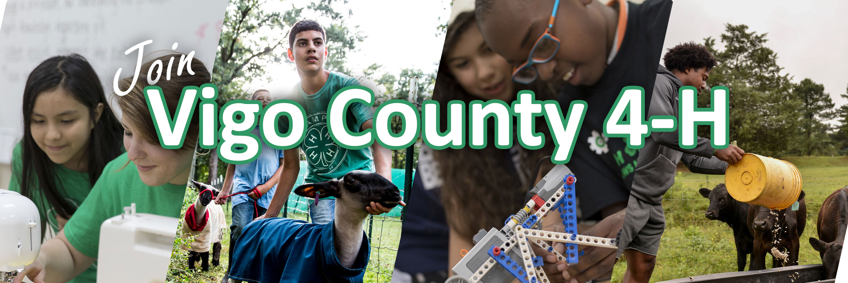Vigo County 4-H