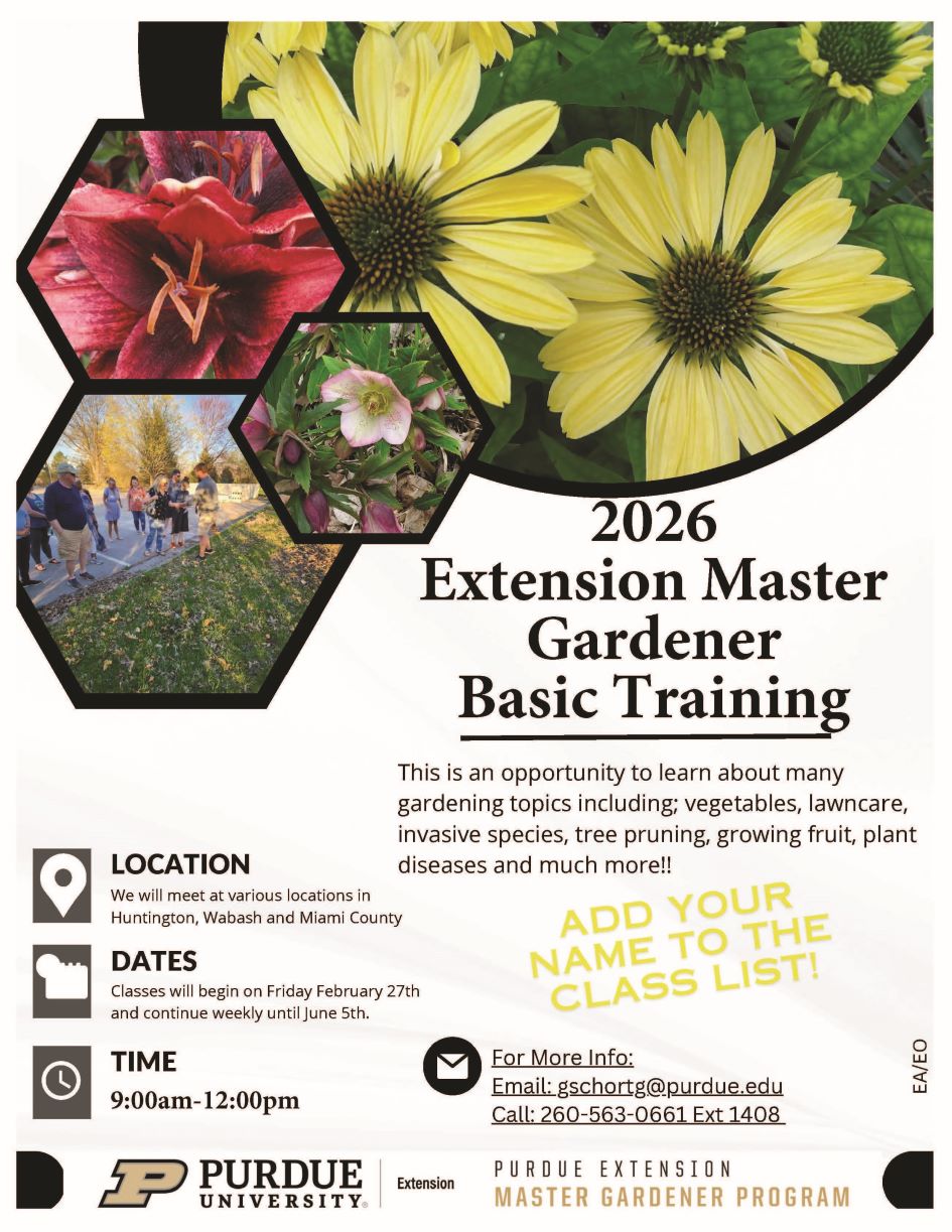 Flier for 2026 Training