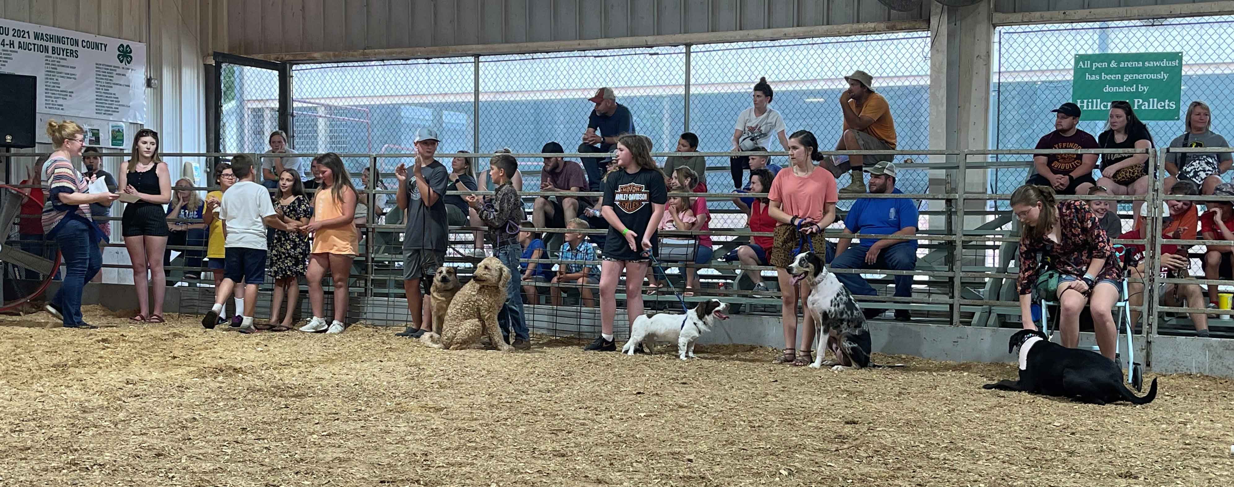 dog-exhibition.jpg