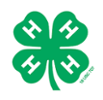 Green 4-H Clover