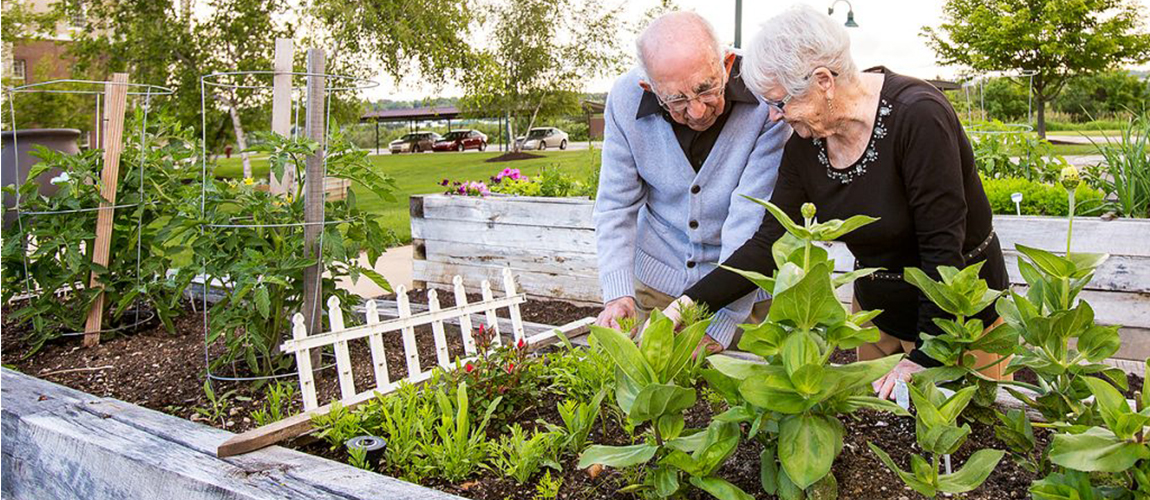 Senior man and woman gardening in a community garden